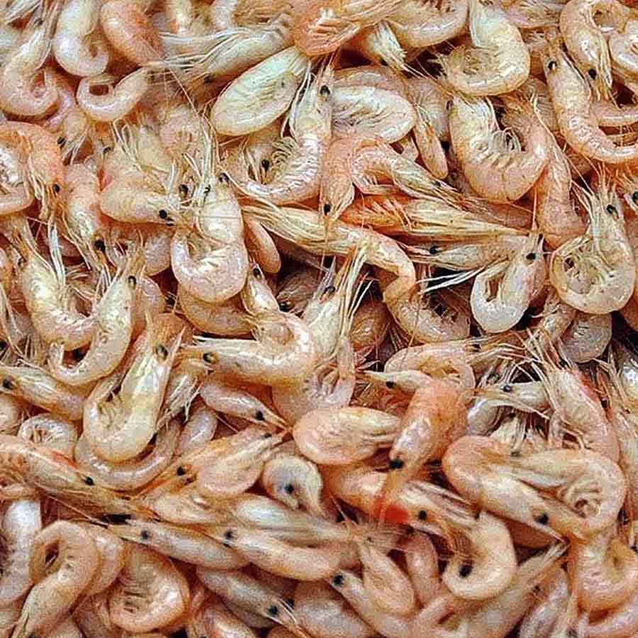 Marisco